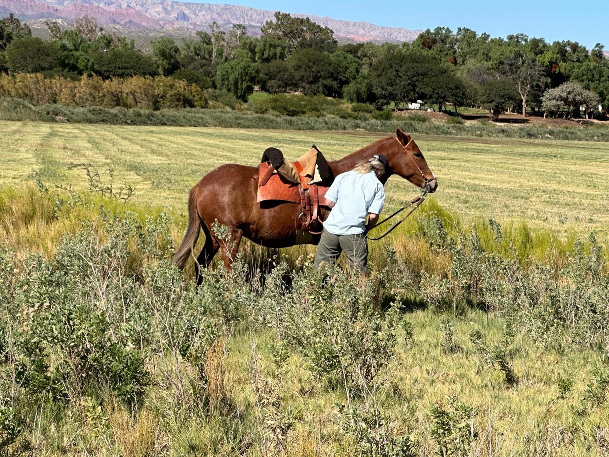 Estancia Banda Grande - Horse & Hiking Safaris Молинос Экстерьер фото