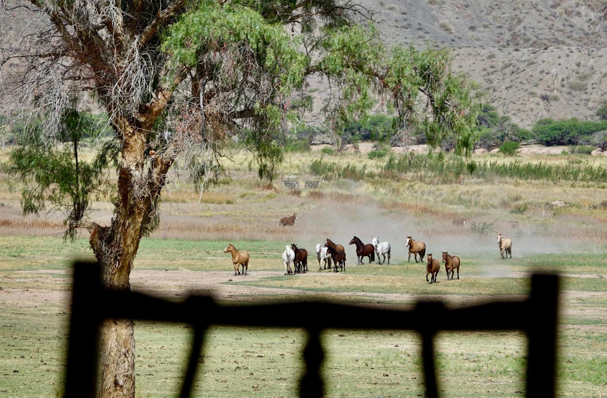 Estancia Banda Grande - Horse & Hiking Safaris Молинос Экстерьер фото