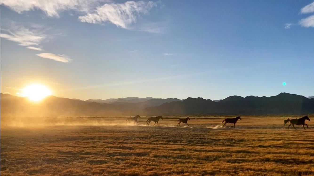 Estancia Banda Grande - Horse & Hiking Safaris Молинос Экстерьер фото