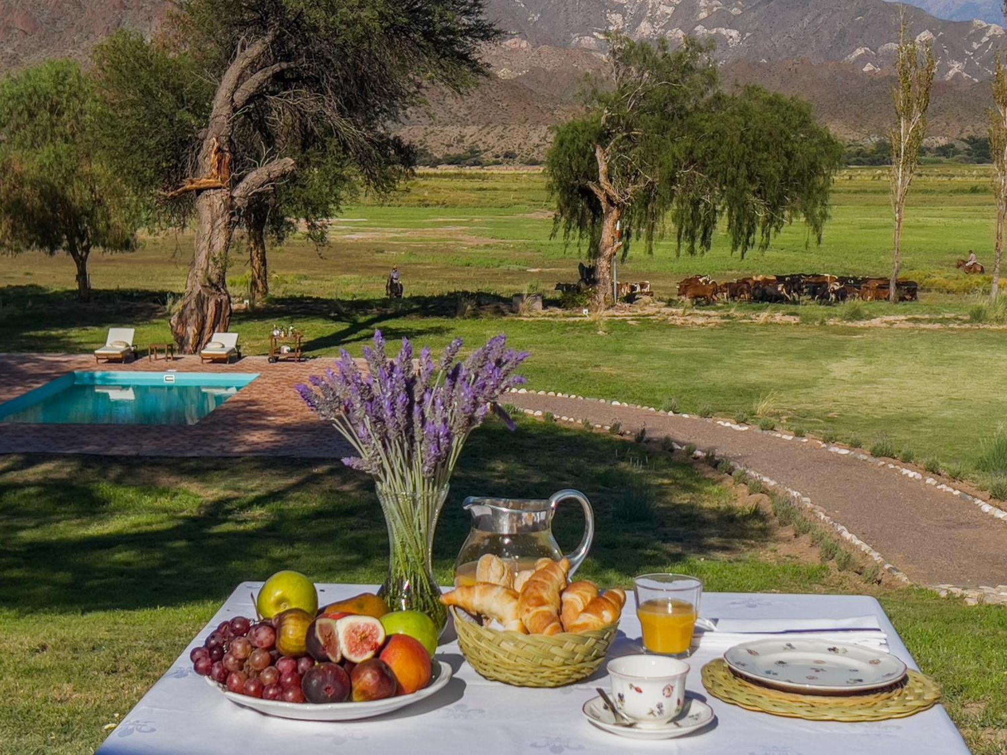 Estancia Banda Grande - Horse & Hiking Safaris Молинос Экстерьер фото